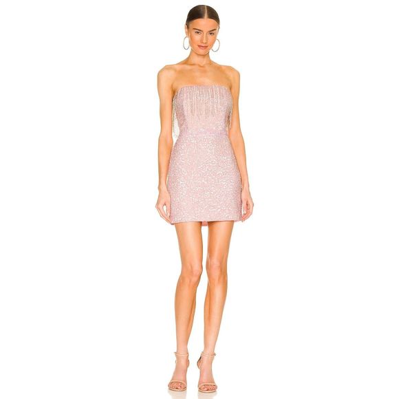 Retrofete Dresses & Skirts - New *FLAW* retrofete Cassandra Dress in Baby Pink Size S REVOLVE MSRP $565